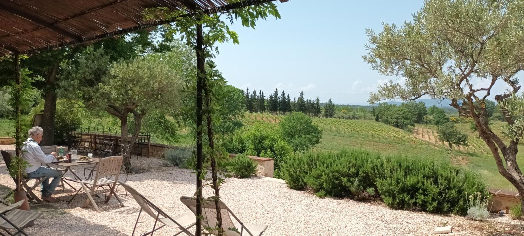 Bastide Au Milieu Des Vignes Et Des Oliviers Aups Vila Exterior foto