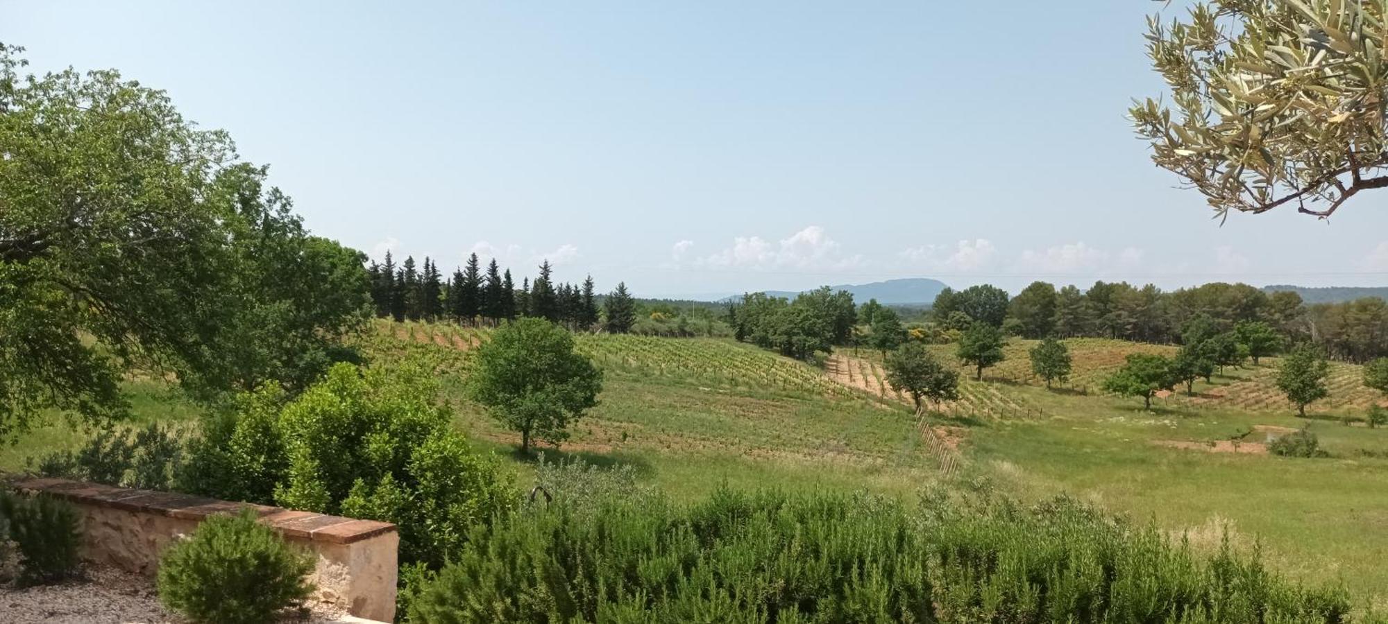 Bastide Au Milieu Des Vignes Et Des Oliviers Aups Vila Exterior foto